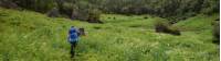 Hiking through magical fields toward the Long Range Mountains