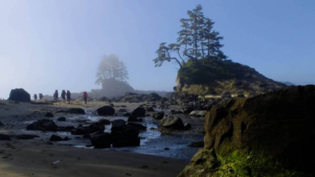 Dreamlike beach walk near Carmanah Point - No filter necessary | Keri May